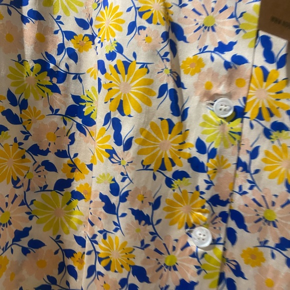 NWT No. 6 Store Silk Buttondown - Picture 4 of 6